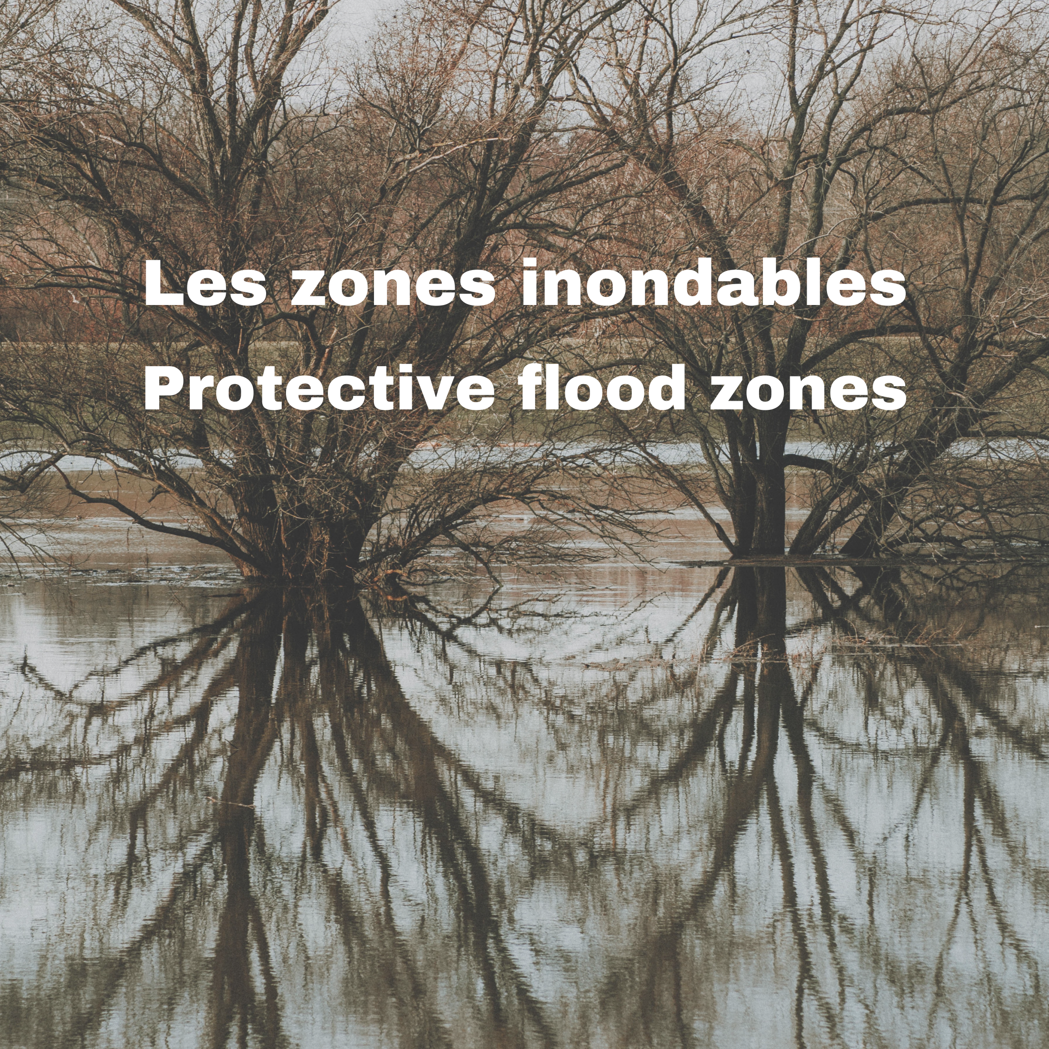 Protective Flood Zones